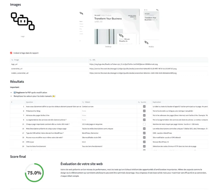 Web audit report page