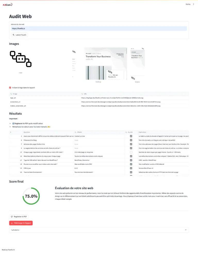 Web audit report page